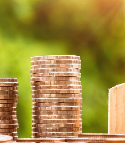 Investissement Immobilier Loi Pinel