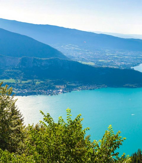 Hestia Immobilier de Prestige