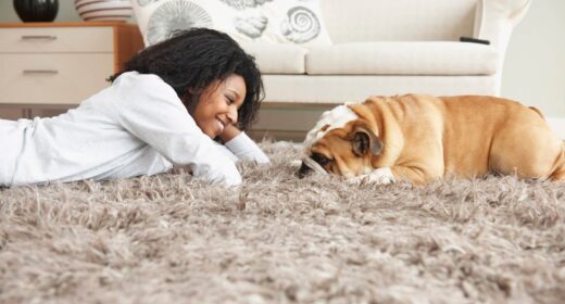 Agence immobilière Nestenn