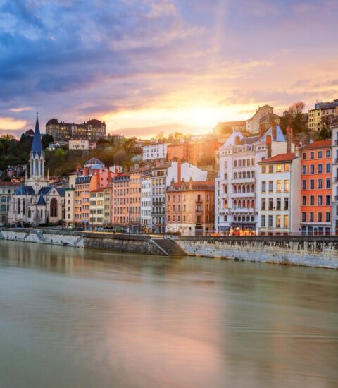 Lyon agence immobilière