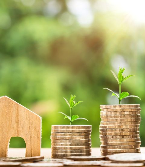 Guide pour réussir votre investissement immobilier