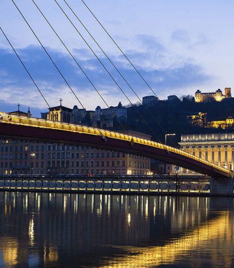 L’AGENCE Agence Immobilière Lyon