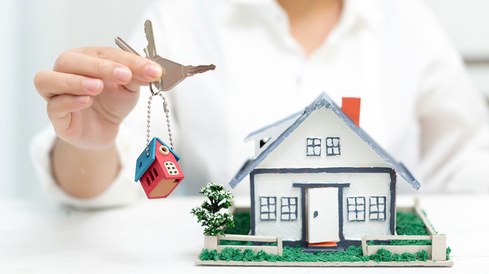 Gestion immobilière